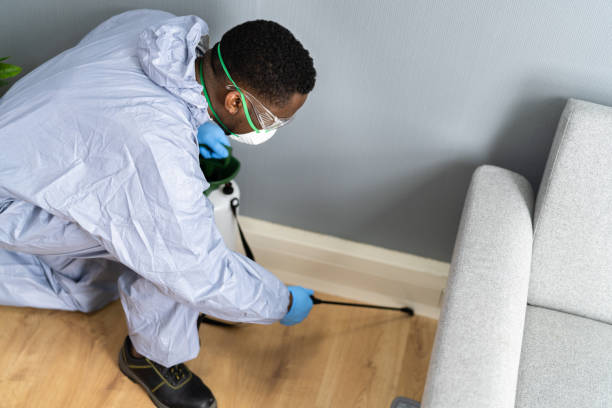 Best Residential Pest Control  in Port Monmouth, NJ